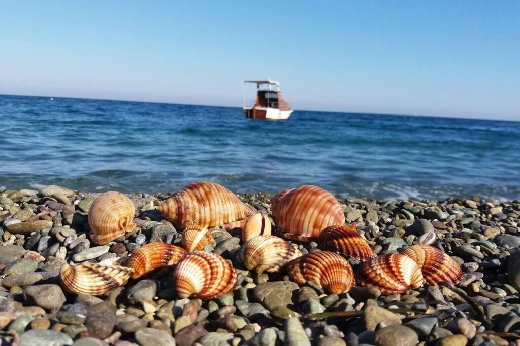 Κατοικία Πανόραμα, Πραγματευτή Λεωνιδίου, Τ.Κ.22300 Leonídion Exteriér fotografie
