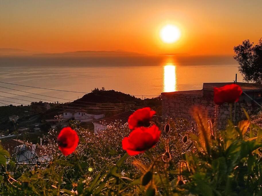 Κατοικία Πανόραμα, Πραγματευτή Λεωνιδίου, Τ.Κ.22300 Leonídion Exteriér fotografie
