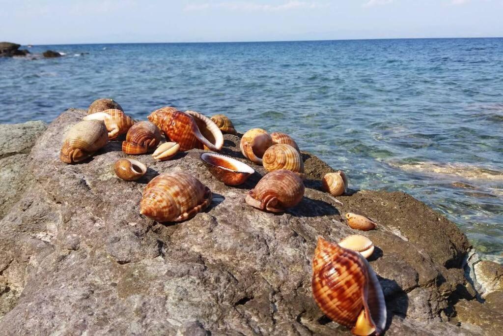 Κατοικία Πανόραμα, Πραγματευτή Λεωνιδίου, Τ.Κ.22300 Leonídion Exteriér fotografie
