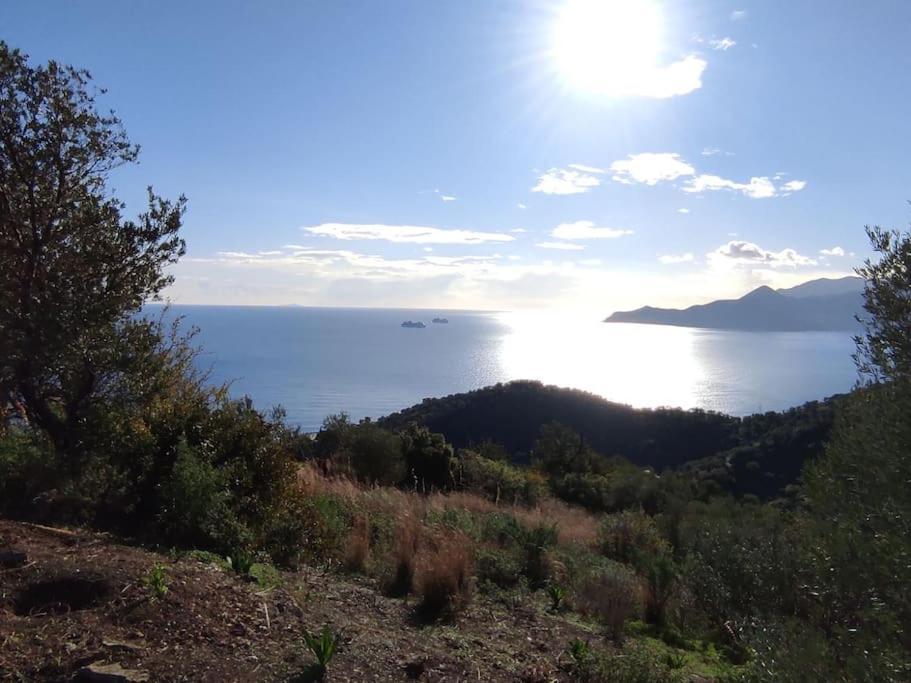 Κατοικία Πανόραμα, Πραγματευτή Λεωνιδίου, Τ.Κ.22300 Leonídion Exteriér fotografie